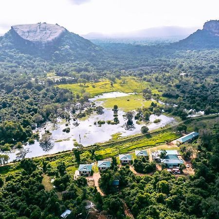 Sigiriya King'S Resort Zewnętrze zdjęcie