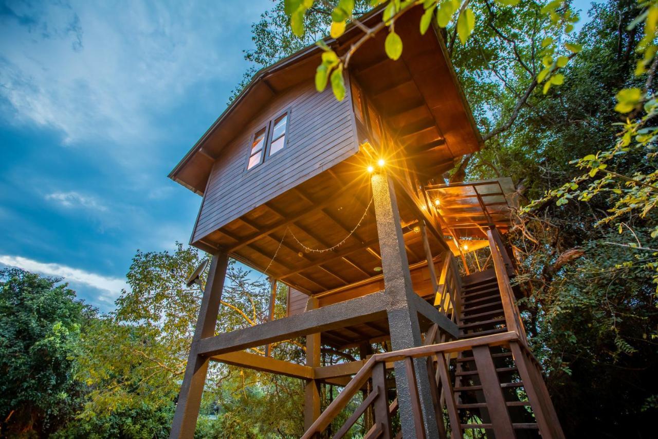 Sigiriya King'S Resort Zewnętrze zdjęcie