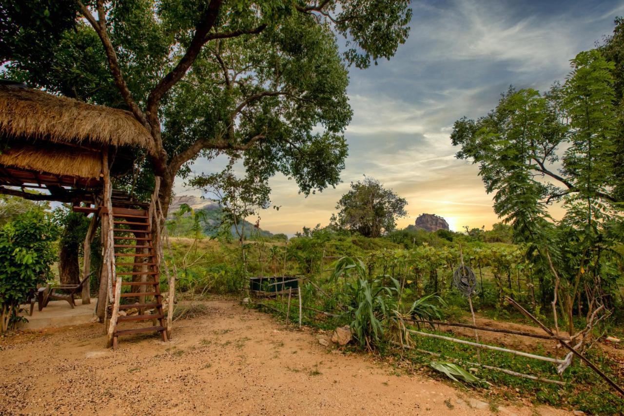 Sigiriya King'S Resort Zewnętrze zdjęcie