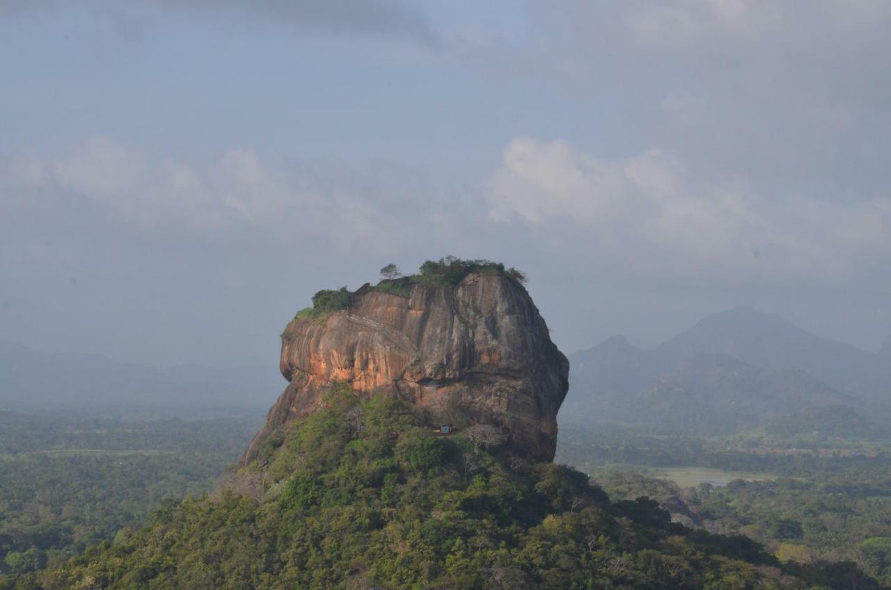 Sigiriya King'S Resort Zewnętrze zdjęcie
