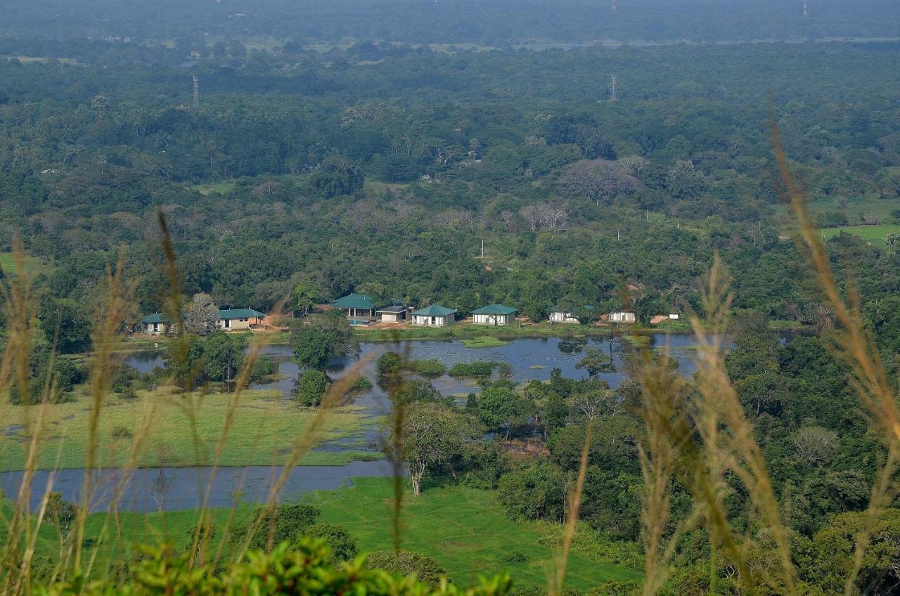 Sigiriya King'S Resort Zewnętrze zdjęcie