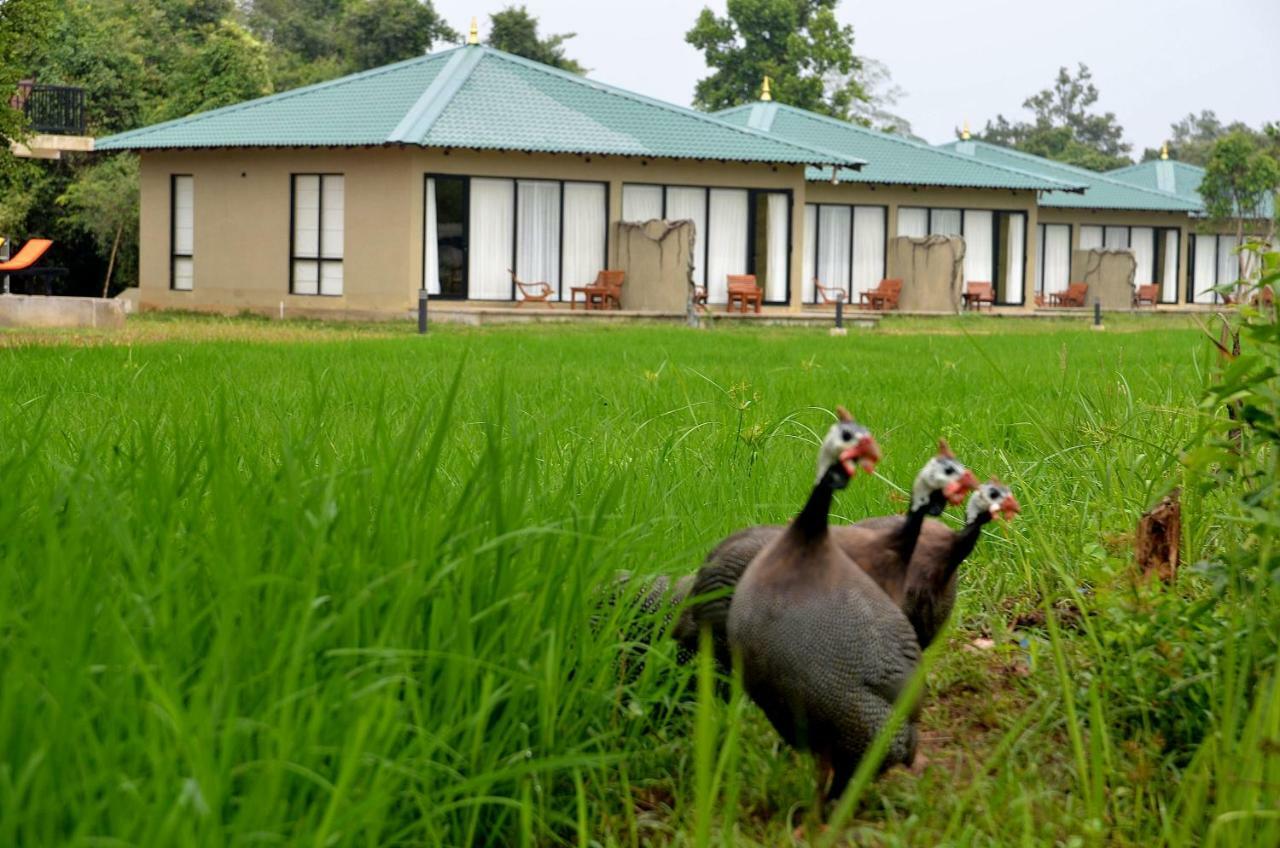 Sigiriya King'S Resort Zewnętrze zdjęcie