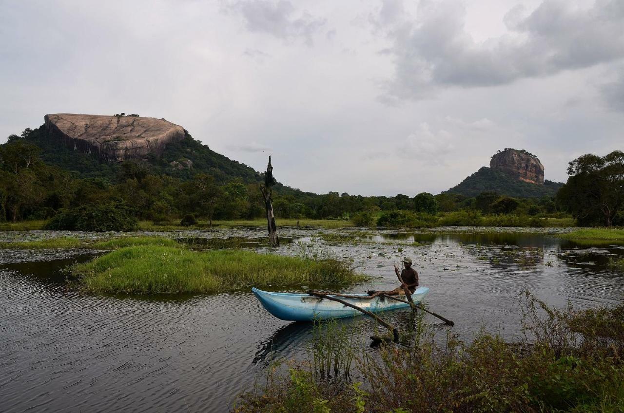 Sigiriya King'S Resort Zewnętrze zdjęcie