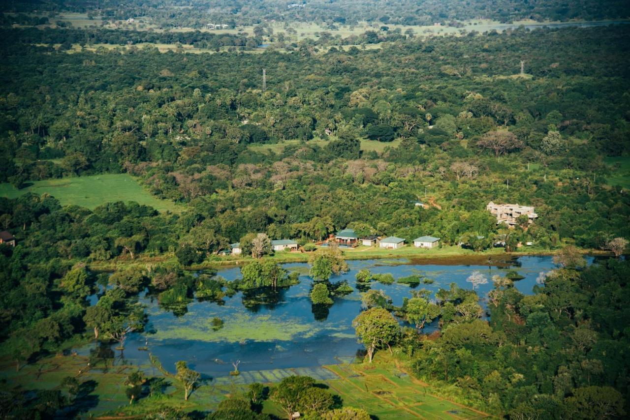 Sigiriya King'S Resort Zewnętrze zdjęcie