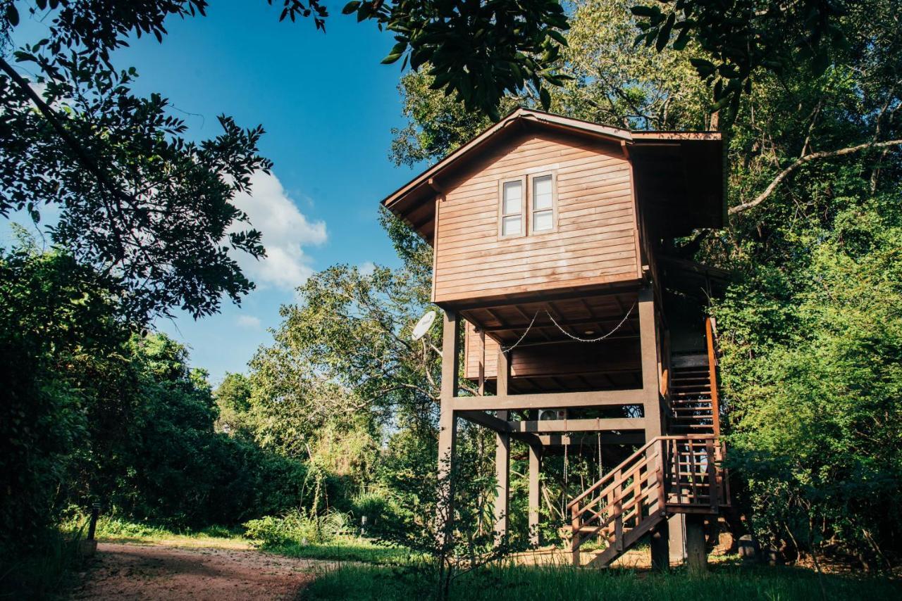Sigiriya King'S Resort Zewnętrze zdjęcie