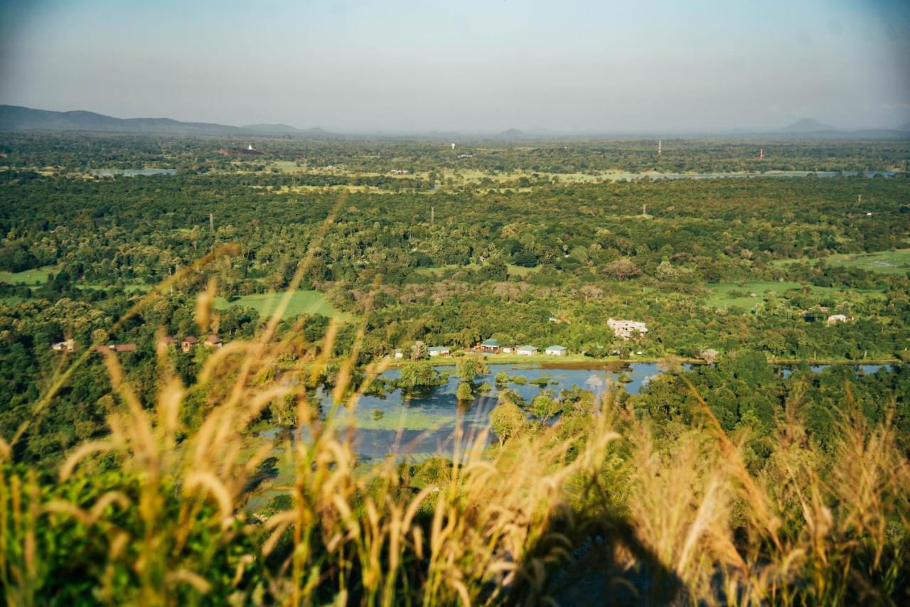 Sigiriya King'S Resort Zewnętrze zdjęcie